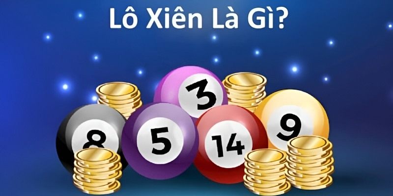 Lô xiên là gì?
