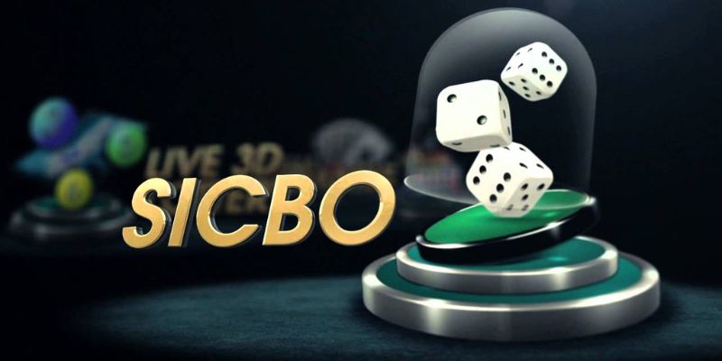 Người chơi hiểu như thế nào về thuật toán